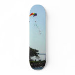 Seaport Village Kite Trees Coranado Bridge Water B skateboards