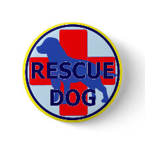 SEARCH AND RECUE DOG SARDA