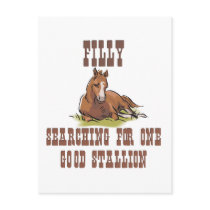 Search for a Stallion Postcard