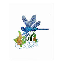 Searching Dragonfly Postcard