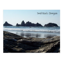 Searching for Seals Post Card