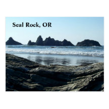 Searching for seals post card