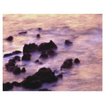 Seascape, Coverack, Cornwall, England flyers