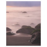 Seascape flyers