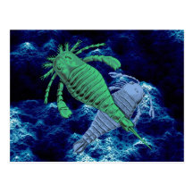 SeaScorpions Postcard