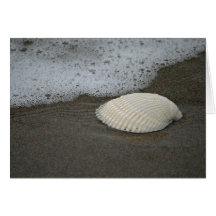 Seashell and Surf Greeting Card