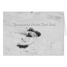 Seashell Beach Greeting Cards