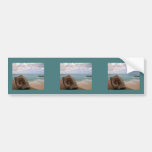 Seashell Beach Paradise Bumper Sticker