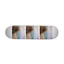 Seashell Beach Paradise Skateboard Decks