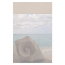 Seashell Beach Paradise