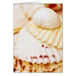 Seashell Blessing Card