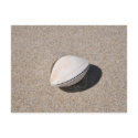 Seashell by the seashore Powell River, BC postcards