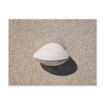 Seashell by the seashore Powell River, BC Postcard