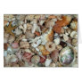 Seashell Card