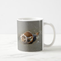 Seashell Coffee Mug