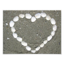 Seashell Heart Art Photo