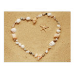 Seashell Heart with Starfish Postcard