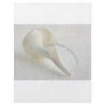Seashell, I can hear you now flyers