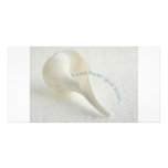 Seashell, I can hear you now photo cards