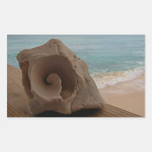 Seashell in Paradise Stickers