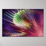 seashell of colour posters