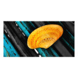 seashell photo cards