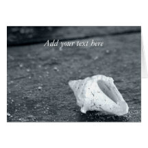 Seashell Photography Cards