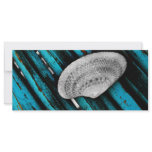 seashell rack cards
