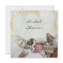 Seashells Bridal Shower Invitations