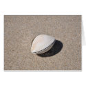 Seashells by the seashore 1 cards