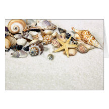 Seashells Card