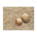 Seashells In Sand postcard
