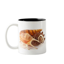 Seashells Mug