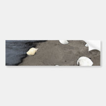 Seashells on a Beach Bumper Sticker