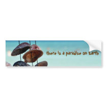 seashells on sea background bumper sticker