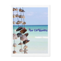 seashells on sea background postcards