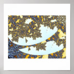 seashells poster posters