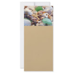 Seashells, Starfish & Sea Glass Rack Cards rack cards
