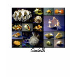 Seashells T Shirt