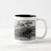 Seashore mugs