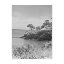 Seashore Post Cards