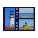 Seashore Scenes