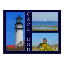 Seashore Scenes Postcards