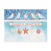 Seasonal Seagulls