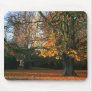 Seasonal Secrets Mousepad