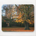 Seasonal Secrets Mousepad