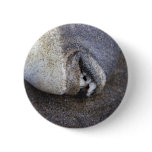 seasoned buttons