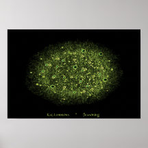 Seasoning Print