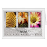 Seasons - Autumn Cards