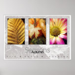 Seasons - Autumn Posters